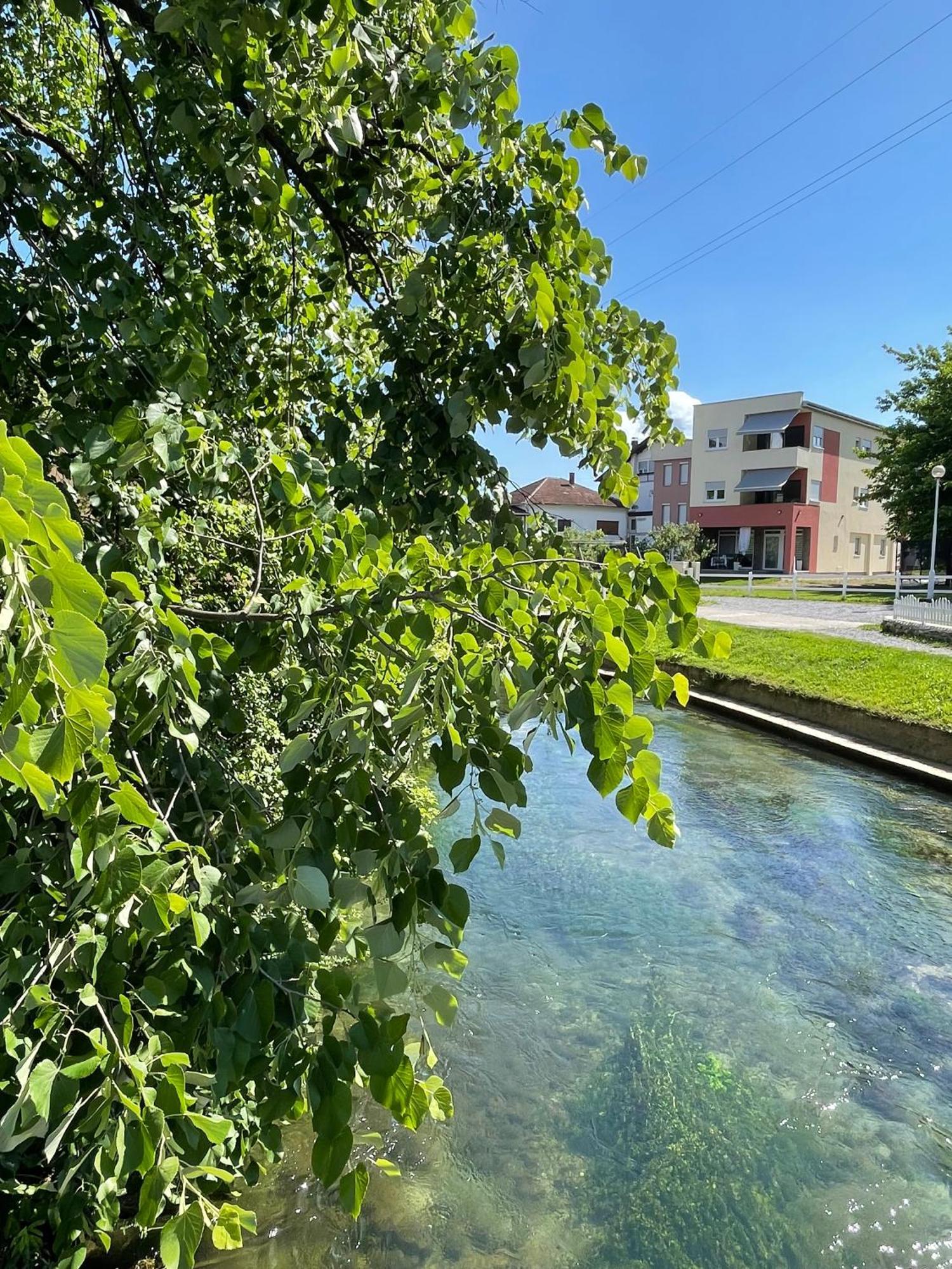Apartment Vila Tara Біхач Екстер'єр фото